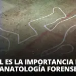 ¿Cuál es la importancia de la Tanatología forense?