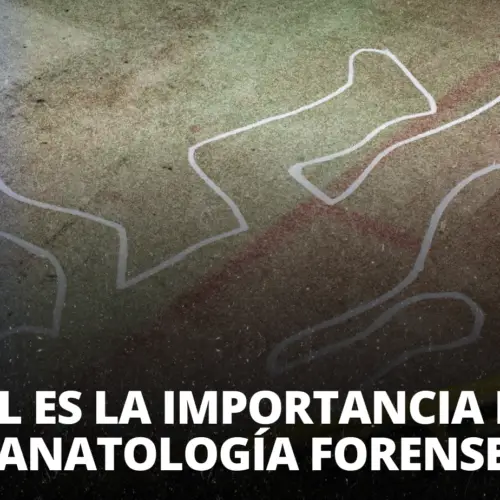 ¿Cuál es la importancia de la Tanatología forense?